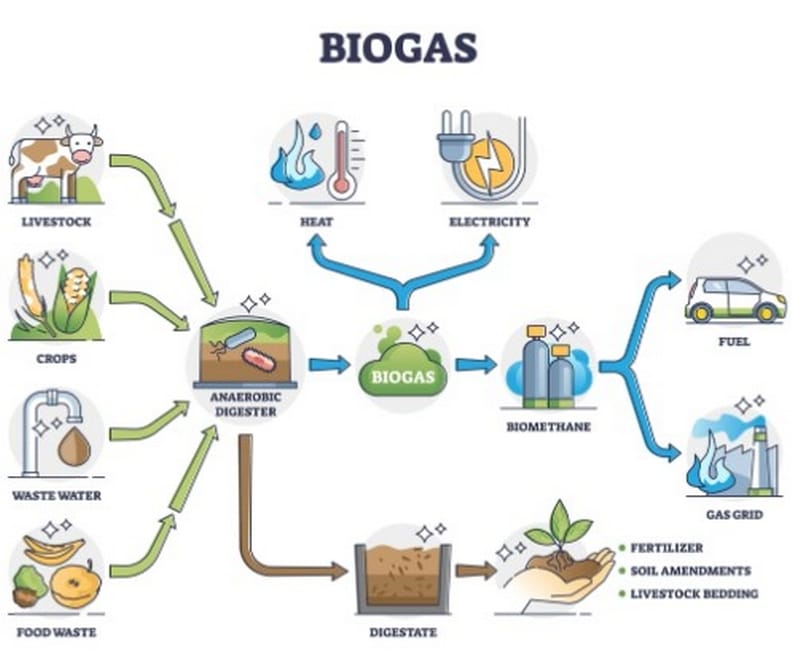 Overview of biogas plant
