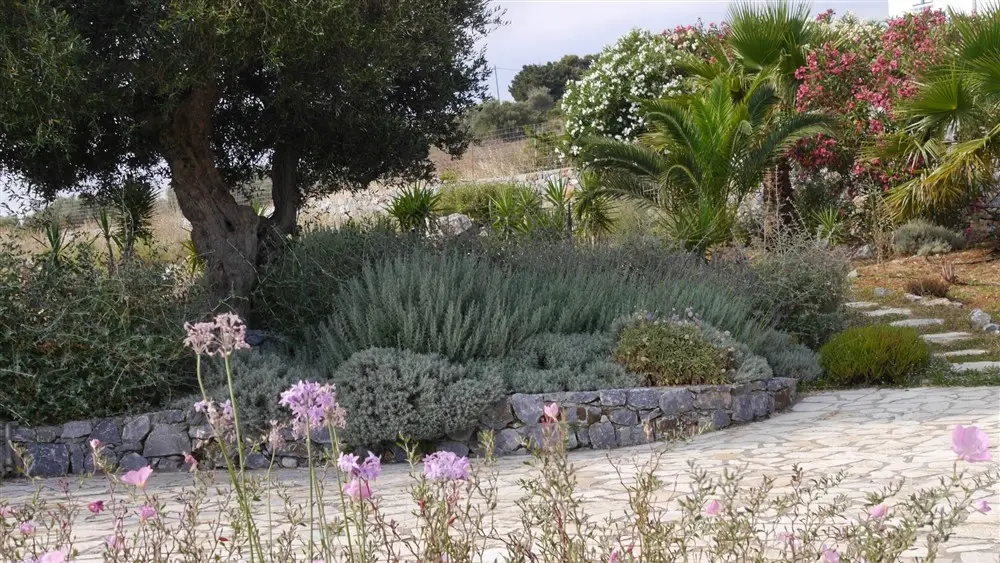 Garden with stone wall and ascending path
