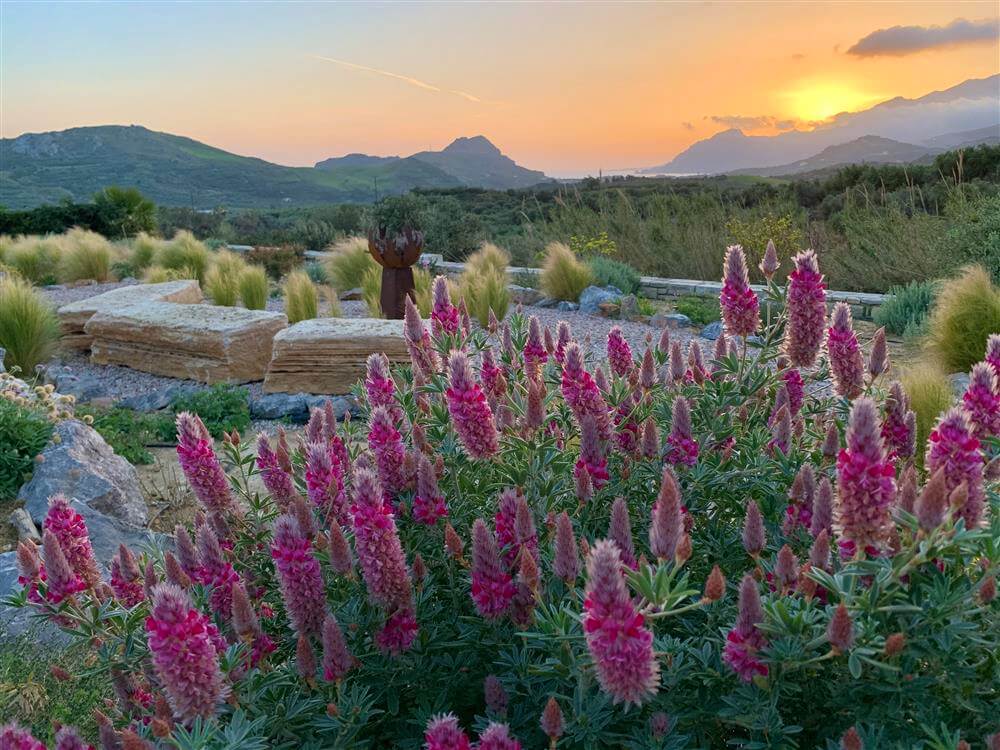 Maintain your garden while your at home