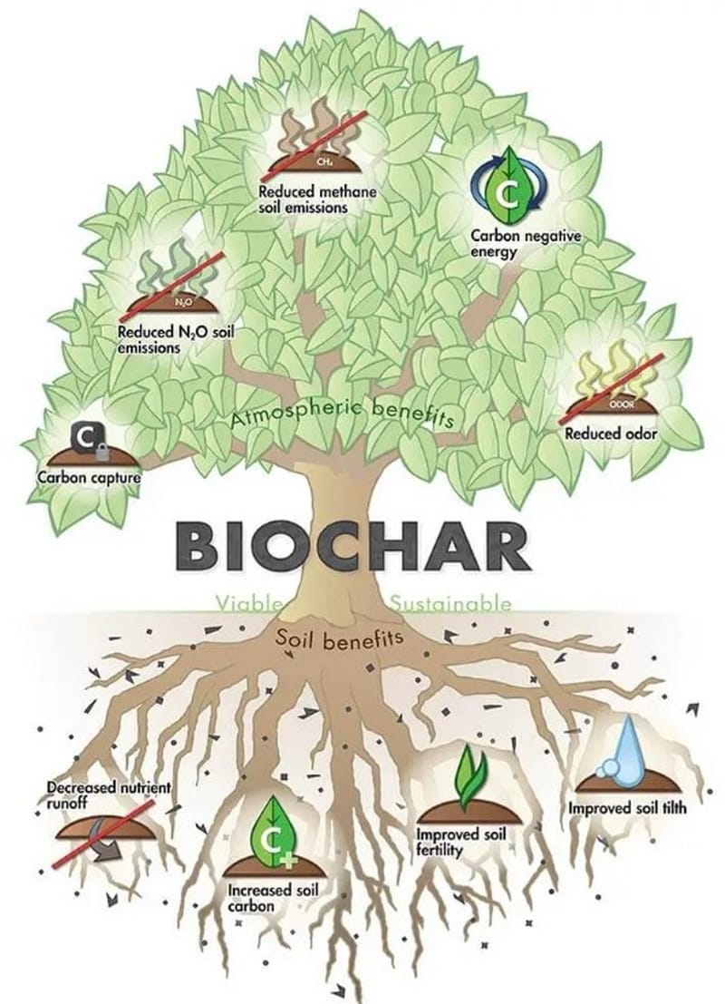Photo of a bio display